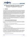 Intrinsity Chip Rate Processing.pdf