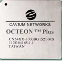 octeon plus chip.png